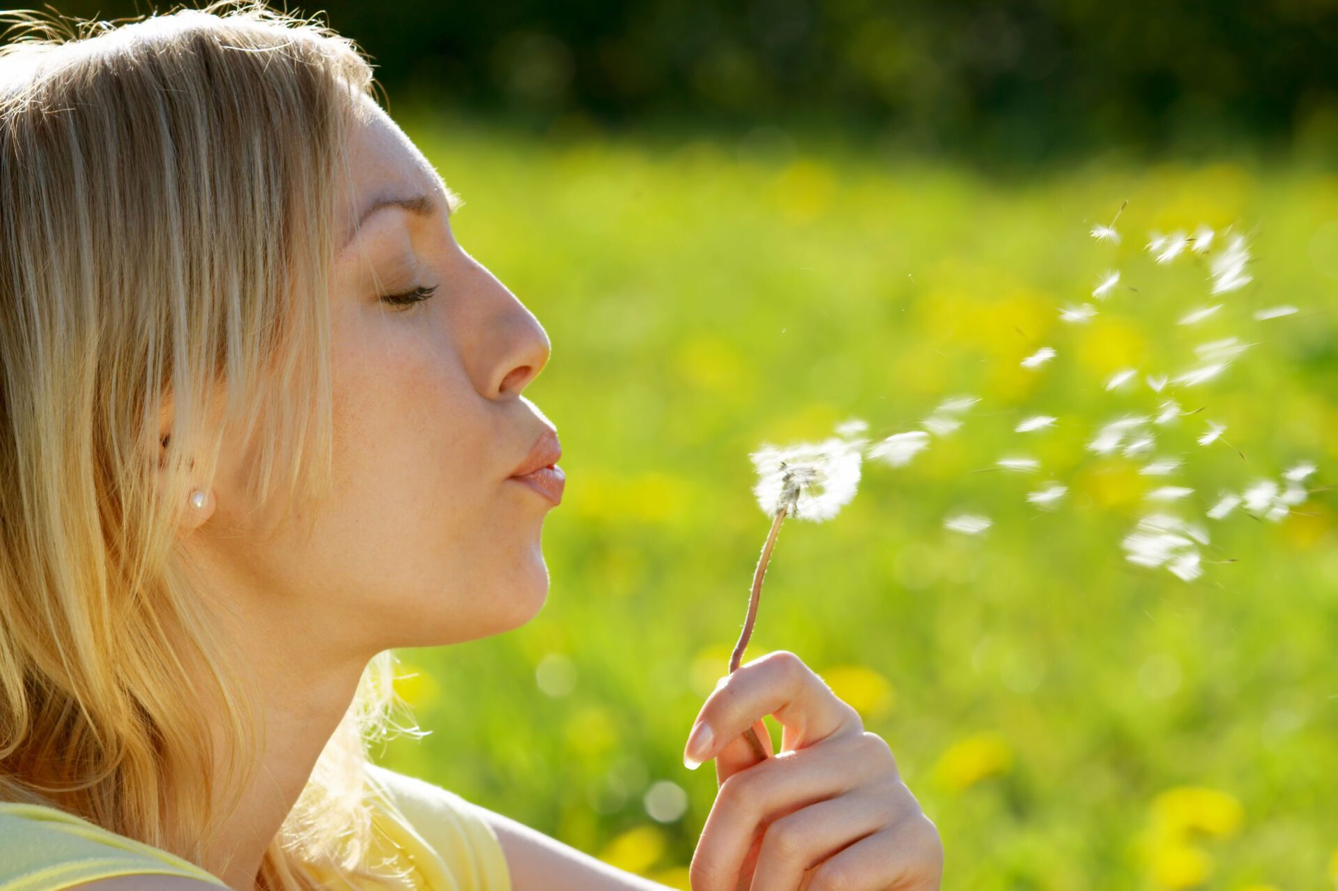 The girl blows on a dandelion on a background of a grass Ozone/ultraviolet blood irradiation