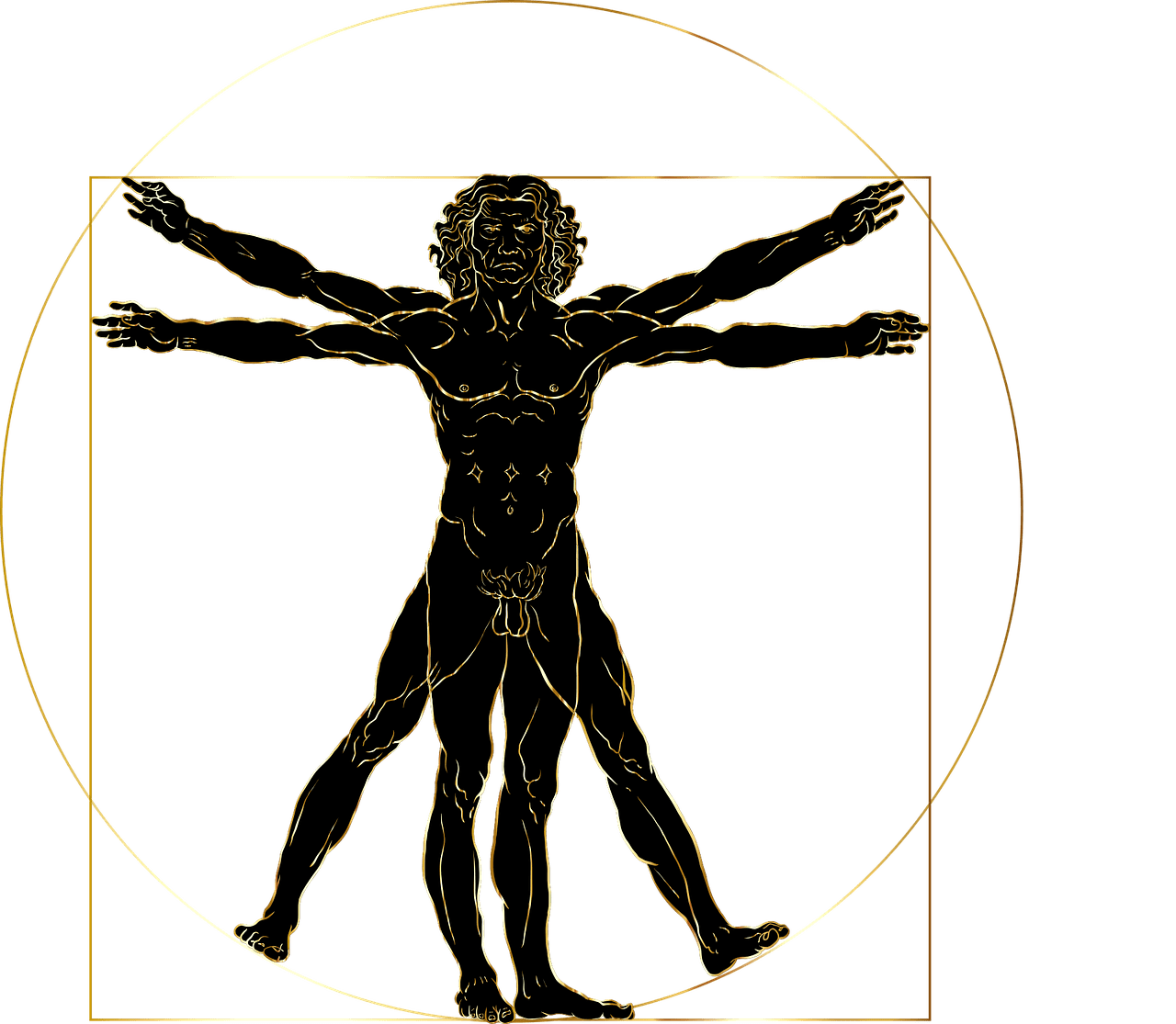 vitruvian-man-4995947_1280 extracellular mix vetruvian man castro clinic charlottesvllle
